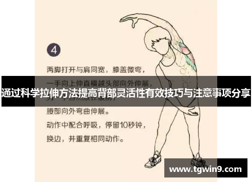 通过科学拉伸方法提高背部灵活性有效技巧与注意事项分享